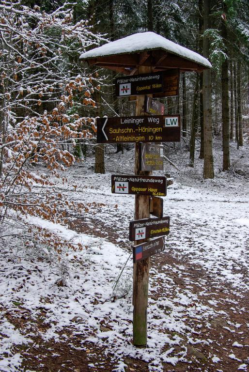 Naturfreundehaus Rahnenhof Carlsberg المظهر الخارجي الصورة